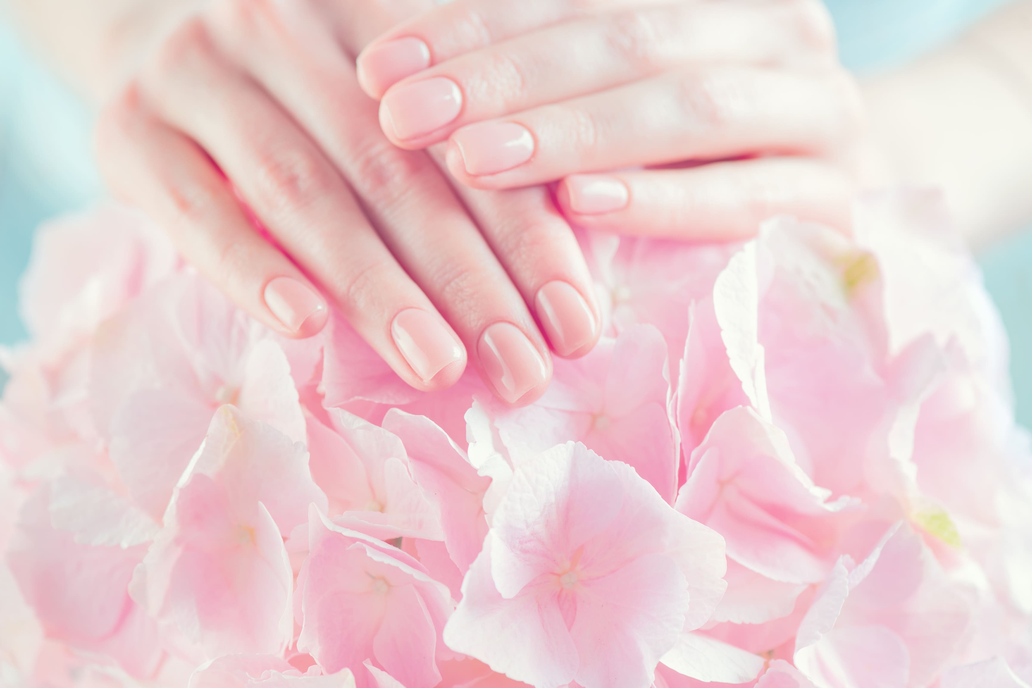 Star Nails Salon in Asheville, NC 28803